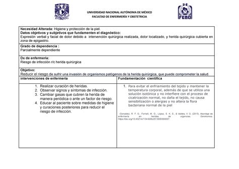 Plan Pes Diagnostico De Enfermeria Formato Pes Universidad Nacional Aut Noma De M Xico