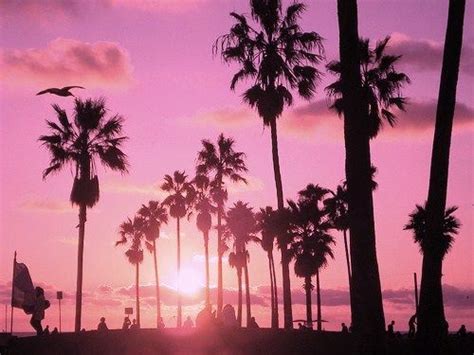 Palm Trees I Love Palm Trees Pink Sky Picture Places Pink Sunset