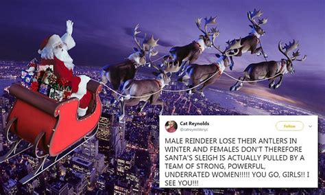 Twitter Theory Claims Santa S Reindeer Are Female Daily Mail Online