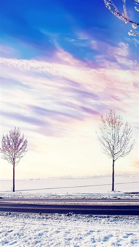 1080x1920 Snow Winter Trees Nature For Iphone 6 7 8 Wallpaper
