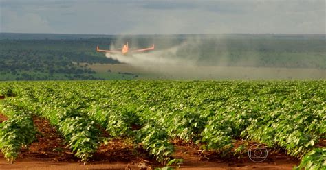 Um Agricultor Utilizou Um Agrotóxico Persistente Para Eliminar Insetos