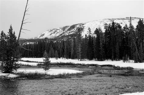 Yellowstone In Monotone Photograph By Dwight Eddington Fine Art America