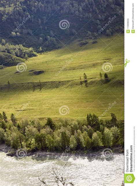 Green Trees River Flow Mountain Landscape Beautiful Nature Stock Image Image Of Ecology