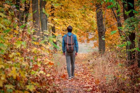 Handsome Man Walking In Park Stock Photo Image Of Casual Outdoor