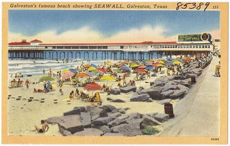 Vintage Postcard Galveston Famous Beaches Galveston Texas