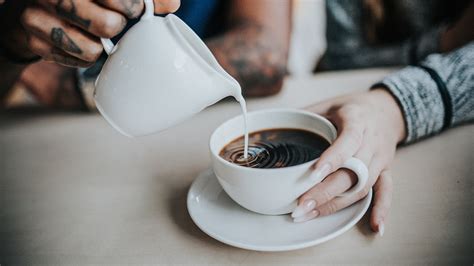7 Coffee Facts You Need To Know Le Blog A Sofeee