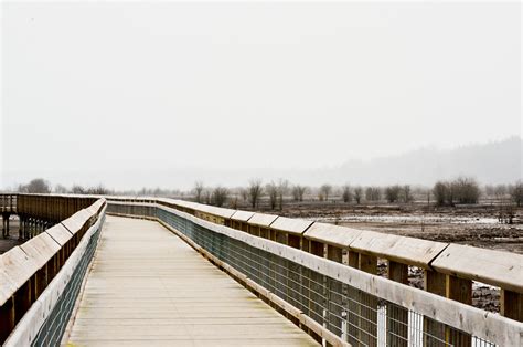 Boardwalk At Nisqually National Wildlife Refuge Jessie Jones Flickr