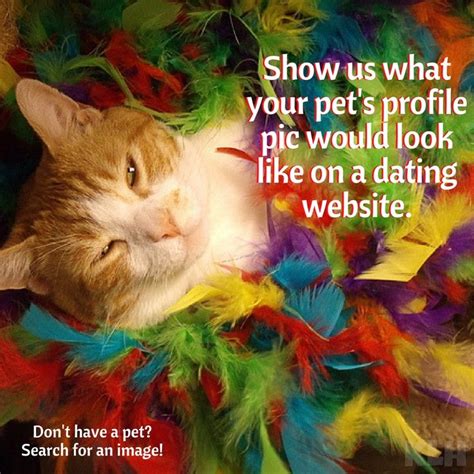 What Would Your Pets Dating Profile Pic Look Like Show Us Click The