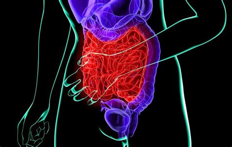 What is the burden of bladder cancer in the u.s.? 6 Signs and Symptoms of Bladder Cancer | Factual Facts