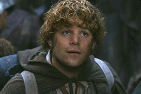 The Best Guy Of The Day Samwise Gamgee From The