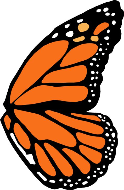 Download Full Left Monarch Butterfly Wing Template Monarch Butterfly