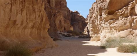 Raw Adventures Sinai Desert Trek To Mt Sinai Adventures