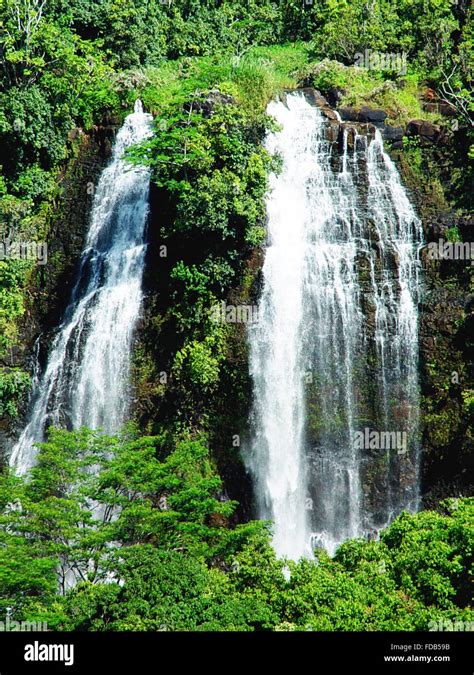 Beautiful Waterfalls Surrounded By Lush Greenery In A Rainforestjungle