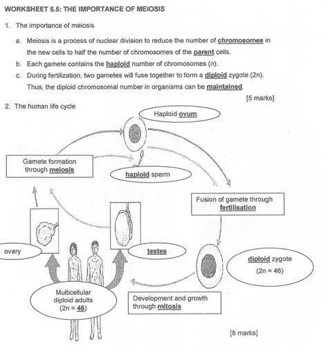 Blood is the medium of transport in animals and humans. BIOLOGY: Form 4: Chapter 5 Module's answer