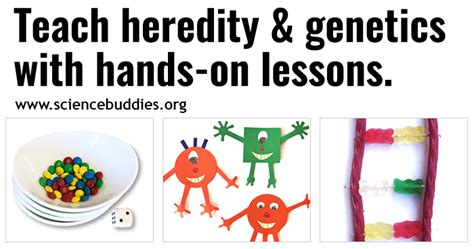 Teach About Genetics And Heredity With Free Stem Lessons And Activities