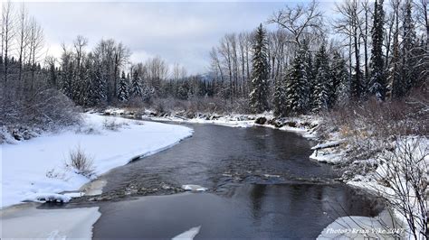 Northern Interior British Columbia Winter On The Little Bulkley River