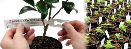 We did not find results for: Pre-Printed Nursery Tree Tags and Pot Stakes