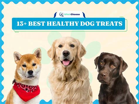 10 Best Healthy Dog Treats Reviews 2022 Whichchoose