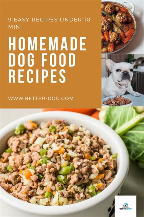 9 Easy To Make Homemade Dog Food Recipes In 2020 Homemade Dog Food