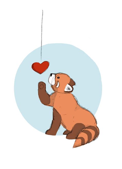 Please Follow Iloveredpandas I Did This Drawing Of A Red Panda