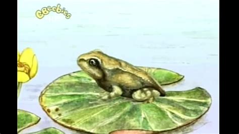 Cbeebies Come Outside Frogs Video Dailymotion
