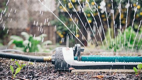 You don't necessarily have to place each seed an equal distance from the previous seed. Vegetable Gardening - Learn How to Plan & Start a ...