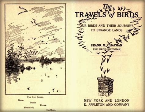 The Travels Of Birds By Frank M Chapman Racing Nellie Bly