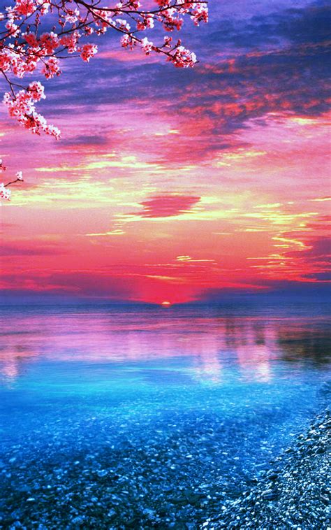 Free Download Amazing Red Sunset Ocean Wallpaper Wallpaper