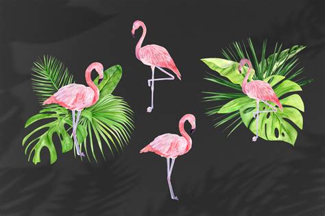 Watercolor Flamingo Clipart Tropical Pink Famingo Summer Clip Art By