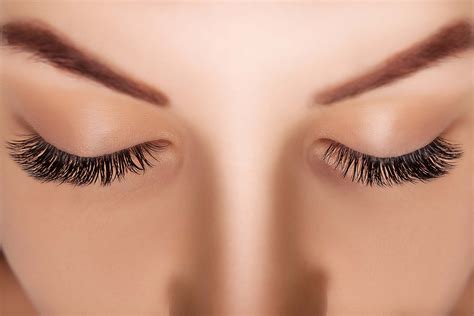 Lashes Lash And Brow Bar Johannesburg South Africa
