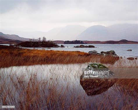 Loch Bà Rannoch Moor Photos And Premium High Res Pictures Getty Images