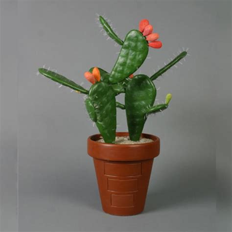 Cactus tip rot can be very deceiving. Potted Cactus Jewelry safe #1 | AJM Furniture