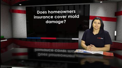 To find out exactly what your policy there are some caveats to this coverage. Does homeowners insurance cover mold damage? - Water Damage Restoration