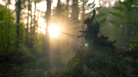 Looking for the best wallpapers? Nature GIFs - Get the best GIF on GIPHY