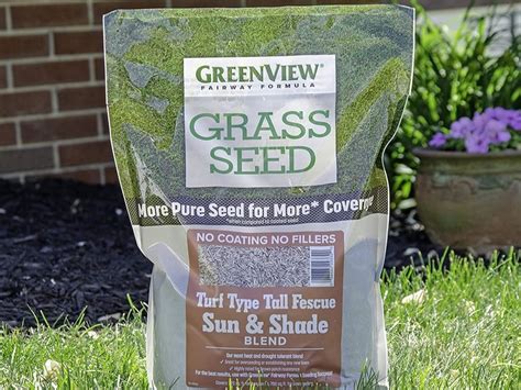 Greenview Grass Seed Germination Time Home And Garden Reference