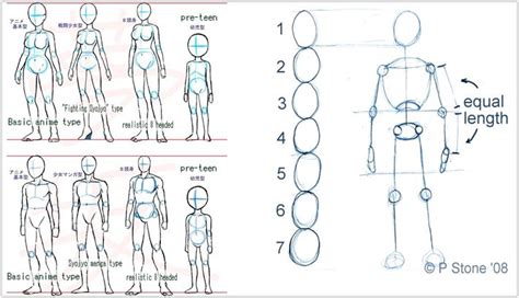 Estrutura O corpo mangá pode seguir escalas de e cabeças Estas determinam o tamanho