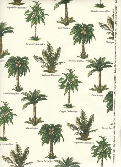 Palm Tree Varieties Palm Trees Tree Tropical Garden