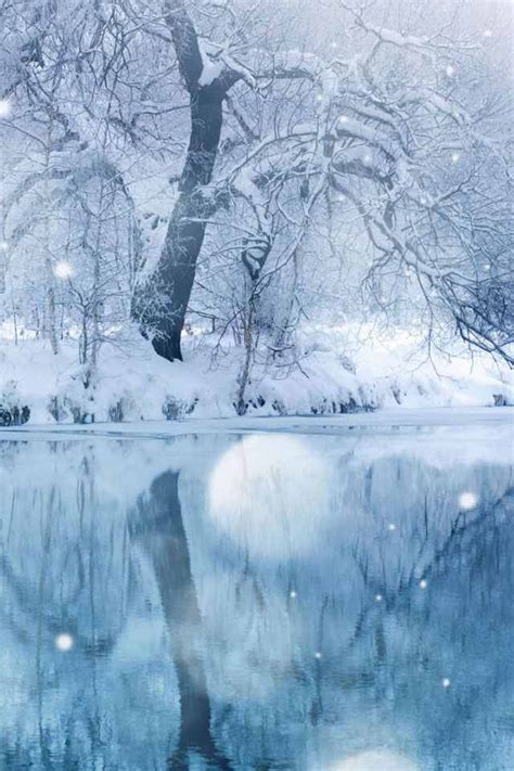 Beautiful Winter Scene Winters Wonder Pinterest