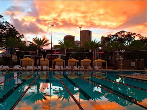 Columbus drive tampa, florida 33607. UNIVERSITY OF TAMPA SWIMMING 2016 - YouTube