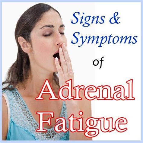 Adrenal Fatigue Symptoms And Signs Adrenal Fatigue Symptoms Adrenal