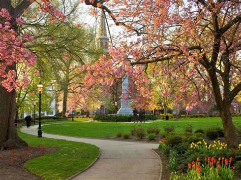 the green in spring morristown nj beautiful locations morristown beautiful places