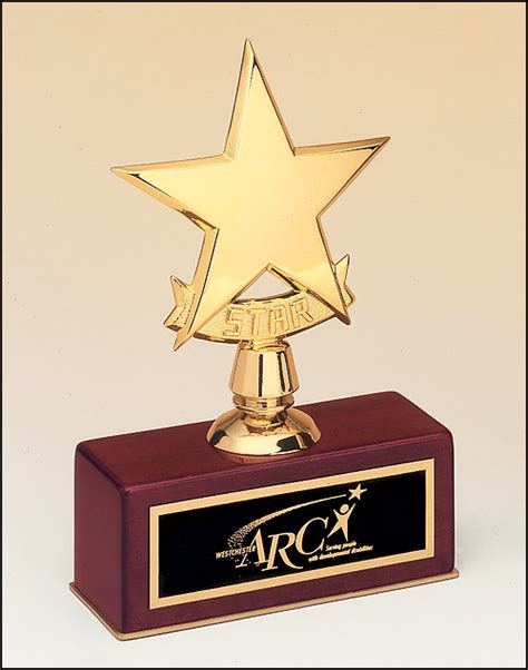 Airflyte Recognition Awards Products | Star awards, Awards ...
