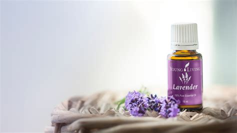 I love that each person can choose the scents they like best and create their. Young Living olie: Lavender, 5ml - ShaBeautyLine