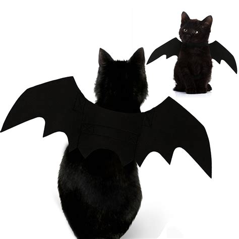 Super cute kitty with crossbones and cat lady banner. Pet Dog Cat Black Bat Wings Sales Online black - Tomtop