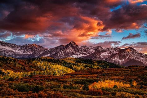 Colorado Mountains Flower Sunset Picture Landscape Canvas And Metal