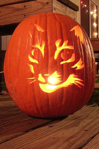 Stainless clip, pen and sheepsfoot blades. 11 awesome cat pumpkin carving ideas!