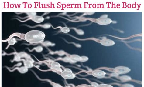 How To Flush Out Sperm From The Body Naturally Public Health