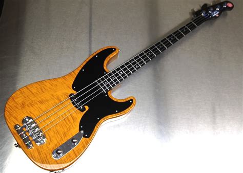 The Official Telecaster Bass Club Page 20