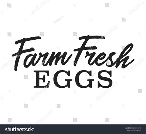 Farm Fresh Eggs Fresh Eggs Banner Stock Vector Royalty Free