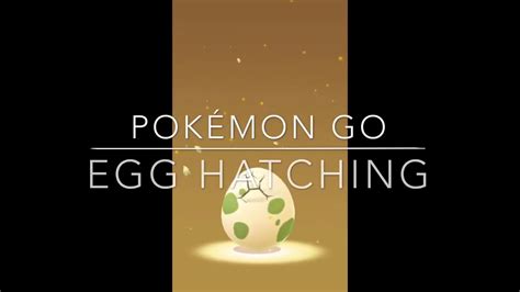 Pokémon Go Egg Hatching Youtube
